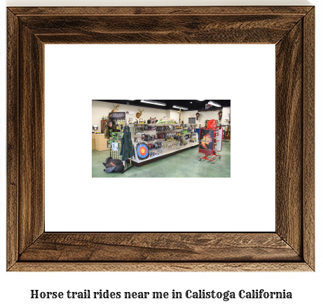 horse trail rides near me in Calistoga, California